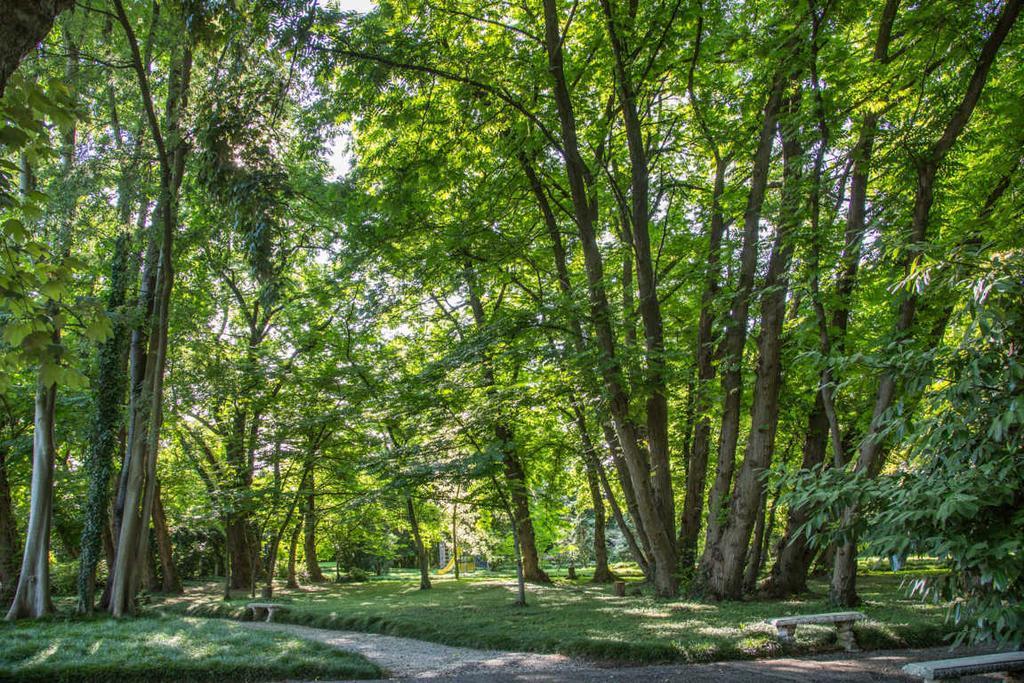 Villa Revedin Gorgo al Monticano Екстер'єр фото